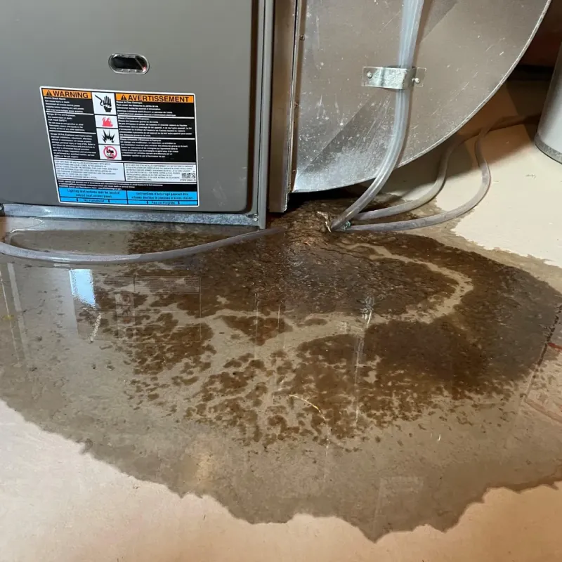Appliance Leak Cleanup in Yadkinville, NC